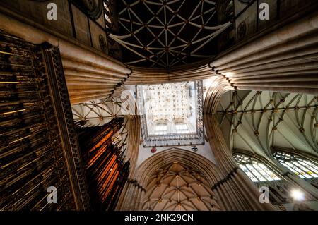 Rechtwinkliges gotisches York Minster Deckengewölbe des zentralen Laternenturms in der mittelalterlichen Stadt York, England. Stockfoto