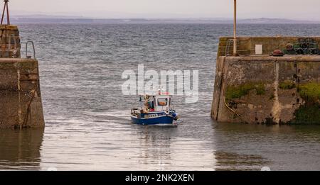 ST MONANS Harbour, FIFE, SCHOTTLAND, EUROPA - kleines kommerzielles Boot fährt in den Hafen im historischen ehemaligen Fischerdorf in East Neuk. Stockfoto