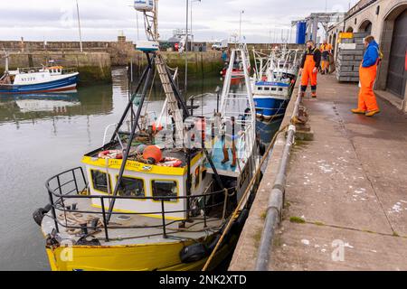 PITTENWEEM Harbour, SCHOTTLAND, EUROPA - gewerbliche Fischer in einem Fischerdorf an der Ostküste Schottlands. Stockfoto