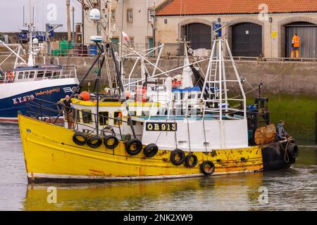 PITTENWEEM Harbour, SCHOTTLAND, EUROPA - kommerzielle Fischerboote, Fischerdorf an der Ostküste Schottlands, East Neuk. Stockfoto