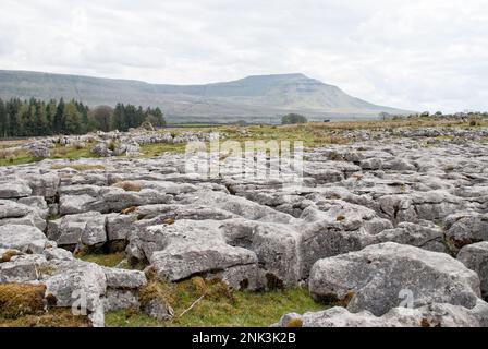 Kalksteinfelsen vor dem Hauptkalksteinpflaster und in der Nähe von Ellerbeck, oberhalb der Chapel-le-Dale. Stockfoto