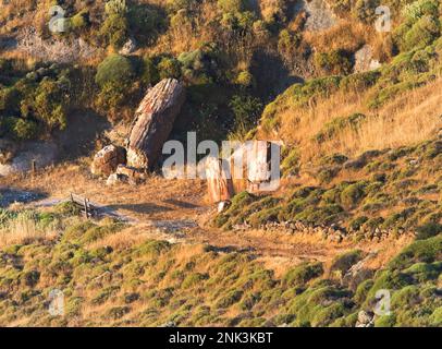 Versteend bos op Lesbos; Versteinerter Wald auf Lesbos Stockfoto