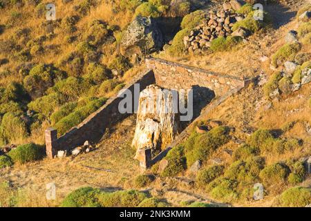 Versteend bos op Lesbos; Versteinerter Wald auf Lesbos Stockfoto