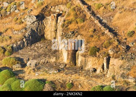 Versteend bos op Lesbos; Versteinerter Wald auf Lesbos Stockfoto