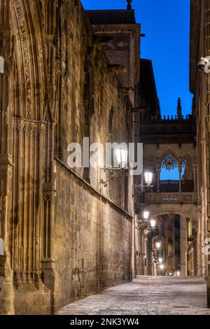 Das Barrio Gotico in der Altstadt von Barcelona in der Abenddämmerung mit der Pont del Bispe Stockfoto