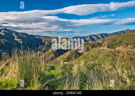 Pine Mountain Massif, Chaparral Zone, Maricopa Highway, Los Padres National Forest, Ventura Ranges, Transverse Ranges, nahe Ojai, Kalifornien, USA Stockfoto