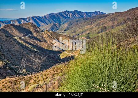 Pine Mountain Massif, Chaparral Zone, Maricopa Highway, Los Padres National Forest, Ventura Ranges, Transverse Ranges, nahe Ojai, Kalifornien, USA Stockfoto