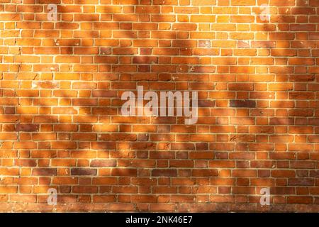 Ein horizontales Bild einer roten Backsteinmauer im Sonnenschein mit Schatten von Bäumen in Blattform, die auf sie fallen, was auf Sommer hindeutet. Hintergrundbild für Text. Stockfoto