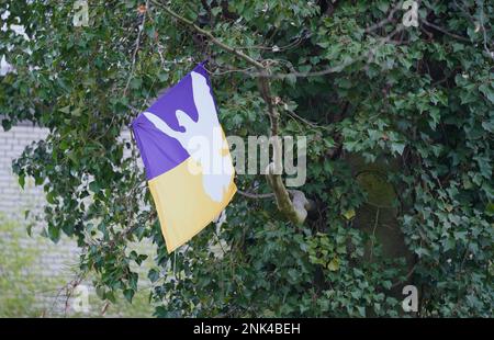 Hamburg, Deutschland. 23. Februar 2023. An einem Baum unweit des Generalkonsulats der Russischen Föderation in Hamburg hängt eine blaue und gelbe Flagge, die Farben der ukrainischen Nationalflagge, mit einer weißen Taube des Friedens. Am 24. Februar 2023 jährt sich der russische Angriffskrieg gegen die Ukraine zum ersten Mal. Kredit: Marcus Brandt/dpa/Alamy Live News Stockfoto