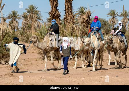 Afrika, Marokko, Südmarokko, M'hamid, Touristen mit Führer reiten auf Dromedaren Stockfoto