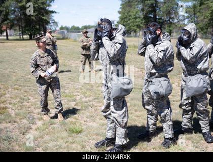 Staff Sgt. Kristen Badgley, USA Marine Corps Combat Logistic Regiment (CLR) 4, Kansas City, Mo., weist Marines vom Combat Logistic Battalion 453 während einer chemischen, biologischen, radiologischen und nuklearen Schulung (CBRN) an, wie die Schutzmaske des M40-Feldes am 11. August gereinigt und versiegelt wird. 2022 Uhr während des Northern Strike im Camp Grayling Joint Maneuver Training Center in Grayling, Michigan. Northern Strike ist dafür bestimmt, über 7.400 Servicemitarbeiter mit verschiedenen Schulungsformen herauszufordern, die die Interoperabilität zwischen mehreren Komponenten, multinationalen und behördenübergreifenden Partnern fördern. Stockfoto