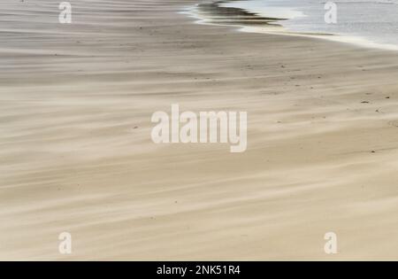 Windgewehene Sandpartikel an einem Sandstrand auf den Falkland-Inseln Stockfoto