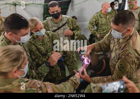 Sgt. Trevor McCarson, Tierpflegespezialist bei der 422. Medical Detachment (Veterinary Services), Right, demonstriert angemessene Atemwegsmanagementtechniken auf 'Diesel', einem animatronischen Hund, der zur Simulation eines realistischen Trainings verwendet wird, in die USA Medizinisches Personal der Marine während der Kampfunterstützungsübung (CSTX) und Global Medic in Fort McCoy, Wisconsin, 11. August 2022. Gemeinsame Branchentraining zu Simulationen wie dieser wird durchgeführt, weil Tierärzte selten auf dem Schlachtfeld sind und dies bereitet Krankenhäuser auf die Behandlung militärischer arbeitender Hunde vor. Stockfoto