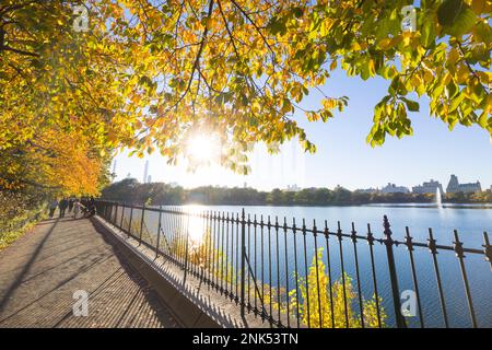 Im Central Park New York City erstrahlen die Bäume im Herbst von Sonnenlicht Stockfoto