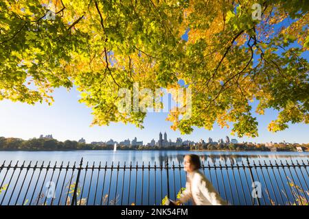 Im Central Park New York City erstrahlen die Bäume im Herbst von Sonnenlicht Stockfoto