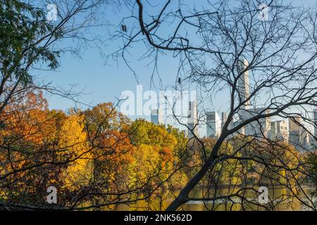 Der Wolkenkratzer von Manhattan befindet sich hinter den Blattbäumen des Herbstes im Central Park. Stockfoto