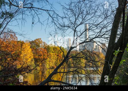 Der Wolkenkratzer von Manhattan befindet sich hinter den Blattbäumen des Herbstes im Central Park. Stockfoto