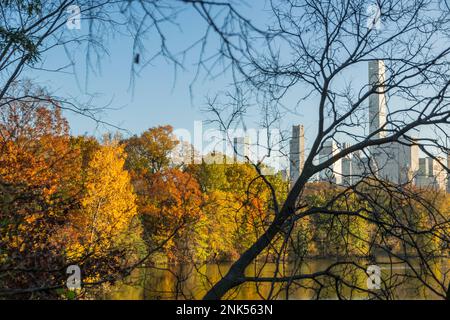 Der Wolkenkratzer von Manhattan befindet sich hinter den Blattbäumen des Herbstes im Central Park. Stockfoto