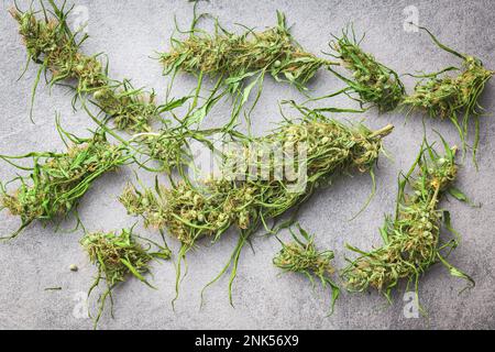 Getrocknete Cannabisknospen. Getrocknetes Marihuana auf dem grauen Tisch. Draufsicht. Stockfoto