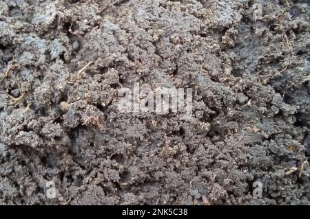 Trockene Bodenstruktur für Hintergrund. Draufsicht. Schließen. Stockfoto