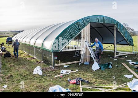 Installation eines einspaltigen Tierpolytunnels in Back Lane, Long Preston, North Yorkshire zum Lammen von Mutterschafen in einer trockeneren und wärmeren Umgebung Stockfoto