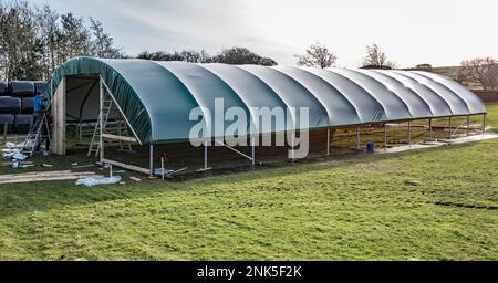 Installation eines einspaltigen Tierpolytunnels in Back Lane, Long Preston, North Yorkshire zum Lammen von Mutterschafen in einer trockeneren und wärmeren Umgebung Stockfoto