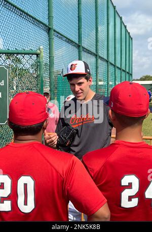 Sarasota, Florida, USA. 23. Februar 2023. Grayson Rodriguez beim Frühjahrstraining Baltimore Orioles im Ed Smith Stadium in Sarasota, Florida, am 23. Februar 2023. Kredit: Mp99/Media Punch/Alamy Live News Stockfoto