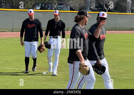 Sarasota, Florida, USA. 23. Februar 2023. Spieler beim Baltimore Orioles Frühjahrstraining im Ed Smith Stadium in Sarasota, Florida, am 23. Februar 2023. Kredit: Mp99/Media Punch/Alamy Live News Stockfoto