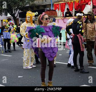 Rijeka, Kroatien, 19. Februar 2023. Cooles Mädchen in einem violetten Traubenkostüm auf dem Karneval Stockfoto