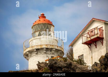 Taiaroa Head Lighhouse am Eingang zum Hafen von Otago in der Nähe von Port Chalmers und Dunedin auf der Südinsel Neuseelands. Stockfoto