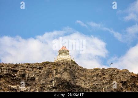 Taiaroa Head Lighhouse am Eingang zum Hafen von Otago in der Nähe von Port Chalmers und Dunedin auf der Südinsel Neuseelands. Stockfoto