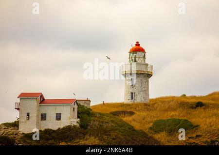 Taiaroa Head Lighhouse am Eingang zum Hafen von Otago in der Nähe von Port Chalmers und Dunedin auf der Südinsel Neuseelands. Stockfoto