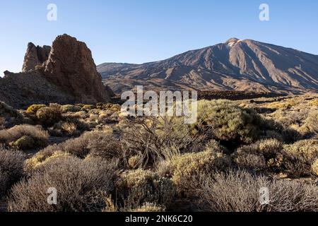 Teide, vulkanische Felsformationen und einheimische Vegetation, im Teide Nationalpark, Teneriffa, Kanarische Inseln, Spanien Stockfoto