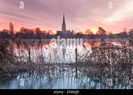 Überflutete Wiesen bei Sonnenaufgang neben der Kathedrale von Salisbury. Stockfoto