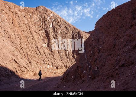 Trekking im Quebrada del Diablo (Devil-Schlucht), Atacama-Wüste, in der Nähe von San Pedro de Atacama, Region Antofagasta, Chile Stockfoto