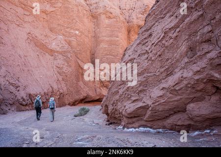 Trekking im Quebrada del Diablo (Devil-Schlucht), Atacama-Wüste, in der Nähe von San Pedro de Atacama, Region Antofagasta, Chile Stockfoto