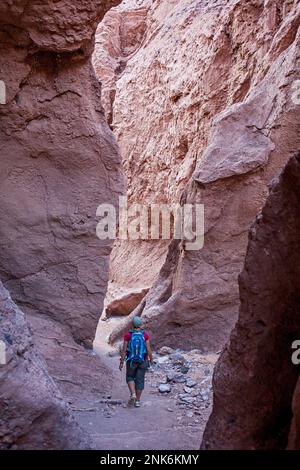 Trekking im Quebrada del Diablo (Devil-Schlucht), Atacama-Wüste, in der Nähe von San Pedro de Atacama, Region Antofagasta, Chile Stockfoto