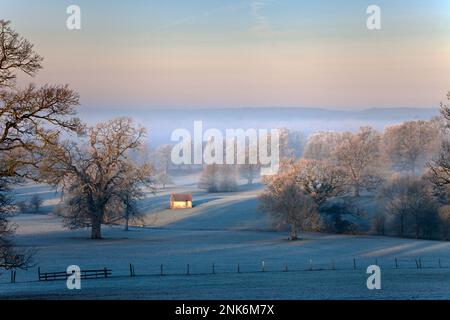 Frühmorgendliches Licht und Eisfrost in der Nähe von Semley in Wiltshire. Stockfoto