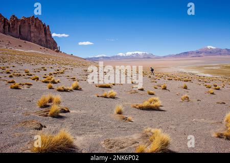 Anden am rechten und am linken Las Catedrales (Kathedralen) Rock-Formation, in der Nähe von Salar de Tara, Altiplano, Puna, Atacama-Wüste. Region de A Stockfoto