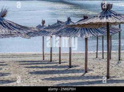 Novi Sad, Serbien. Februar - 21. 2023. Sandstrand am Ufer der Donau im Winter in Novi Sad. Verlassene Regenschirme mit Schilf bedeckt Stockfoto