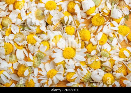Hintergrund der Kamillenblüten - Matricaria recutita, blühende Frühlingsblumen auf der Holzoberfläche, Nahaufnahme Stockfoto