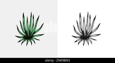 Sukkulent. Tropische Bäume exotische Pflanzen. Östliche Landschaft. Exotische Natur. Linearer Dschungel. Handgezeichnete Skizze im Vintage-Stil. Stock Vektor