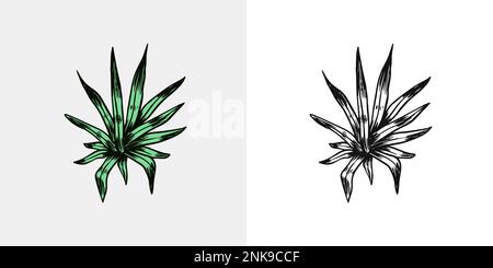 Sukkulent. Tropische Bäume exotische Pflanzen. Östliche Landschaft. Exotische Natur. Linearer Dschungel. Handgezeichnete Skizze im Vintage-Stil. Stock Vektor