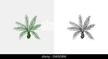 Kokosnusspalme. Tropische Bäume exotische Pflanzen. Phoenix- oder Datumsvarianten. Östliche Landschaft. Exotische Natur. Linearer Dschungel. Handgezeichnete Skizze im Vintage-Stil Stock Vektor