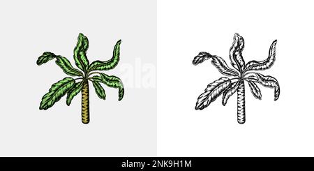 Tropische Bäume exotische Pflanzen. Banane und Palmblätter. Östliche Landschaft. Exotische Natur. Linearer Dschungel. Handgezeichnete Skizze im Vintage-Stil. Stock Vektor