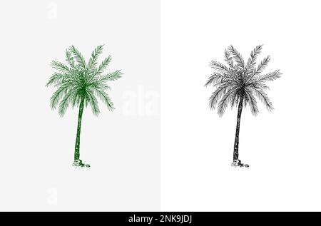Kokosnusspalme. Tropische Bäume exotische Pflanzen. Phoenix- oder Datumsvarianten. Östliche Landschaft. Exotische Natur. Linearer Dschungel. Handgezeichnete Skizze im Vintage-Stil Stock Vektor