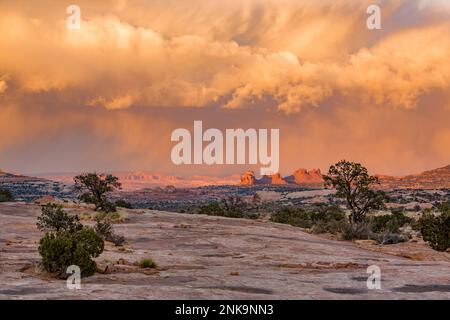 Der Sommermonsunwolken über Arths Weide und Arches National Park, links im Hintergrund, in der Nähe von Moab, Utah, aus der Nähe der Navajo Rocks Gegend. Stockfoto