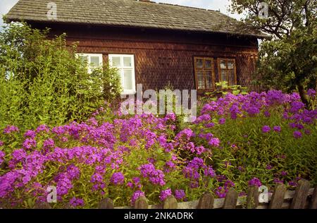 Solonetu Nou, Suceava County, Rumänien, 2001. Traditionelles Haus mit Fassade mit Holzschindeln. Stockfoto