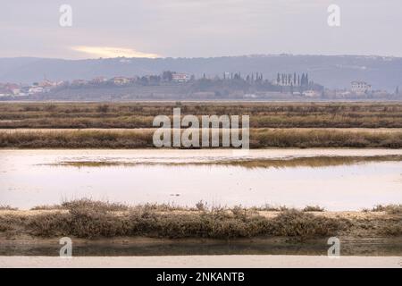 Winterpanorama-Blick auf die Meeresbecken in Secovlje Salt PAN, Slowenien Stockfoto