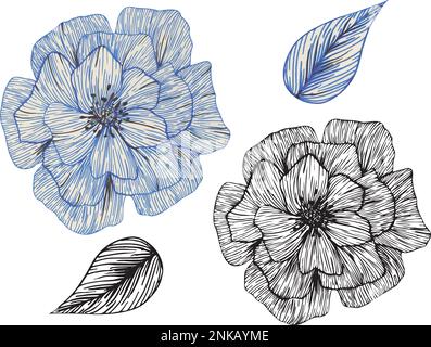 Satz grafischer Vektorblätter und Blumen Stock Vektor